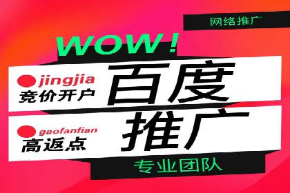 案例解析：SEM助力电商行业快速发展