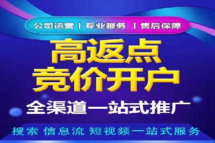 SEM推广在本地化服务中的应用案例
